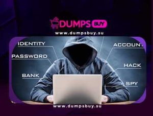 Read more about the article Selling CC Dumps fullz papypal account and Td accounts