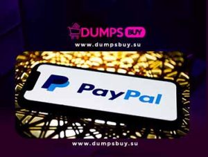 Read more about the article How To Load Paypal Account
