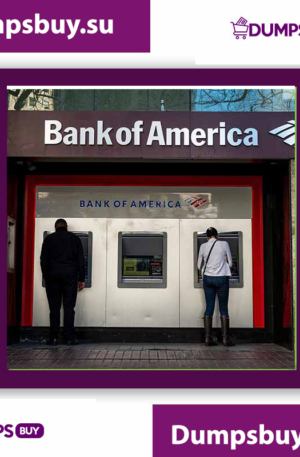 Bank of America Bank Logs