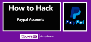 Read more about the article How to Hack Paypal Accounts